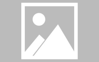 中山网页设计英文默认字体（网页设置英文转换中文）